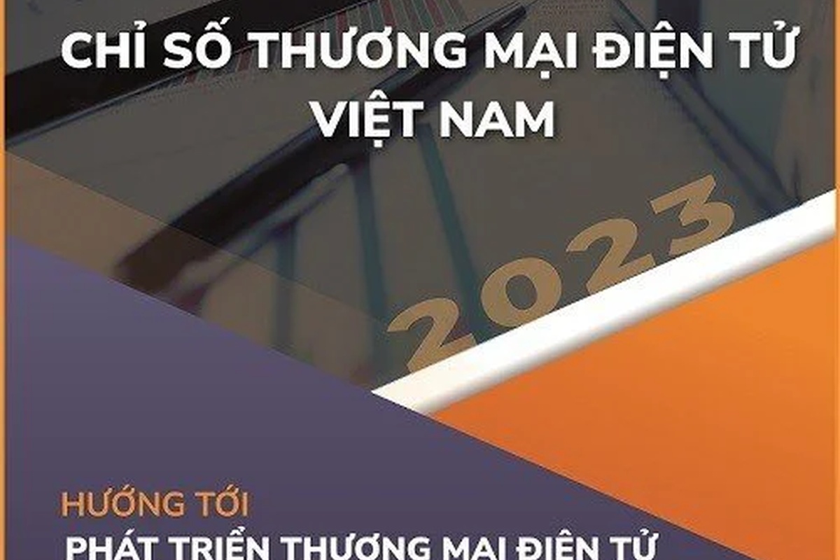 Báo cáo Chỉ số Thương mại điện tử Việt nam 2023
